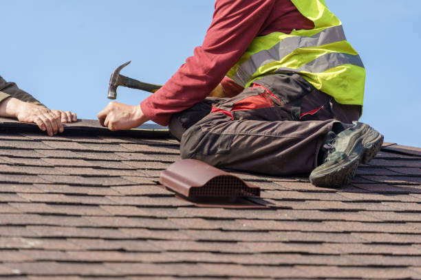Best Roof Waterproofing Services  in West Union, IA