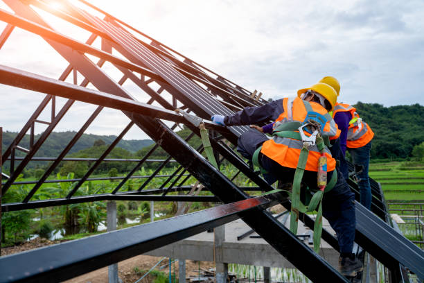 Roof Gutter Cleaning in West Union, IA