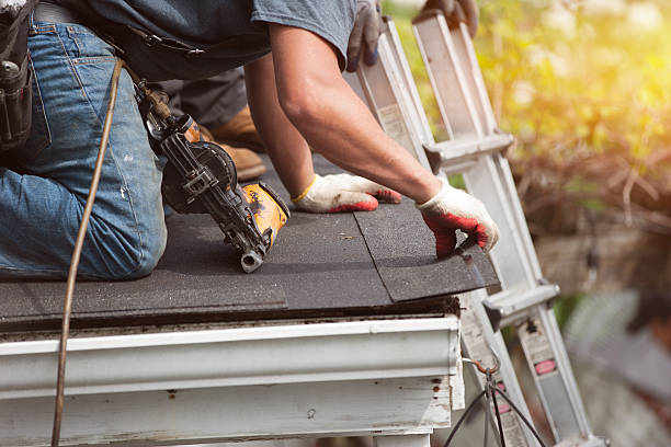 Best Flat Roof Repair Services  in West Union, IA